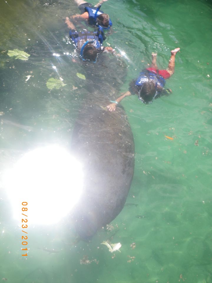 IMGP0614